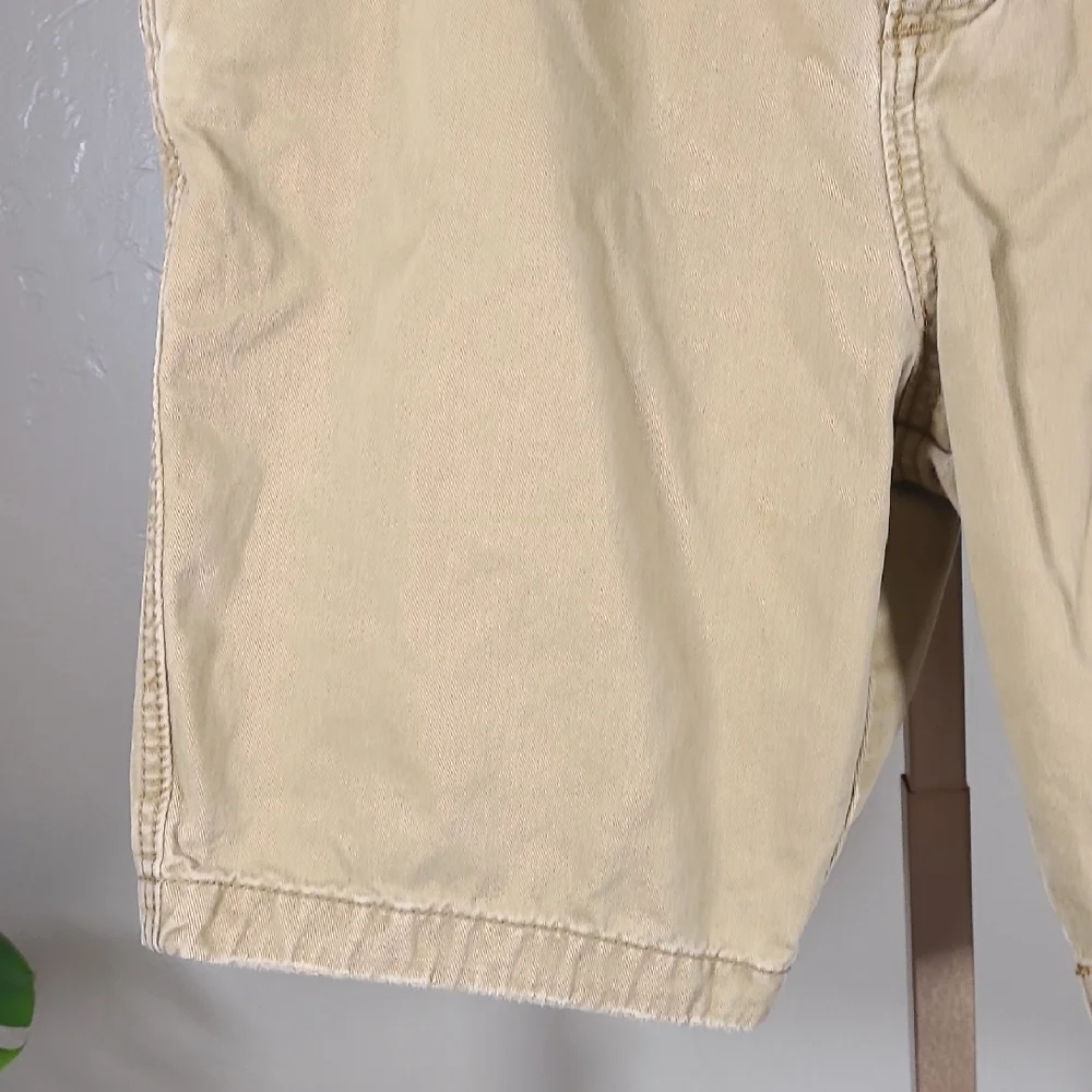 Hollister Tan Flat Front Shorts Versatile Casual Wear‎ Size 33